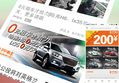 ����Ч�� PP�⳵